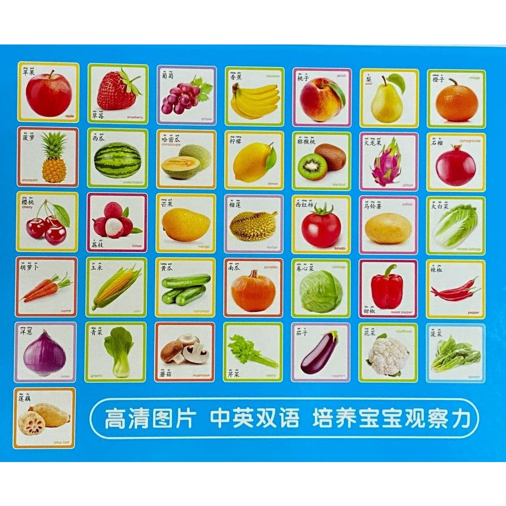 Chinese & English Flash Cards for Beginner | Mandarin Learning Card with Colourful HD Large Flashcards