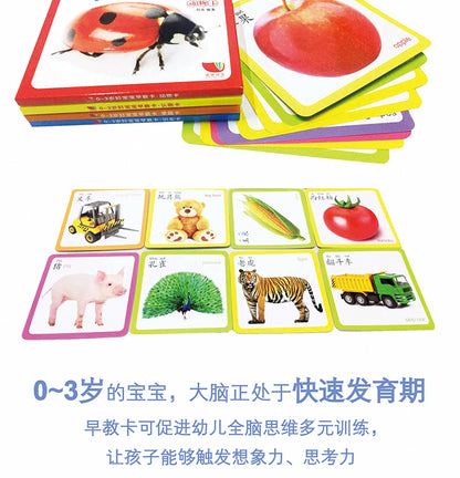 Chinese & English Flash Cards for Beginner | Mandarin Learning Card with Colourful HD Large Flashcards