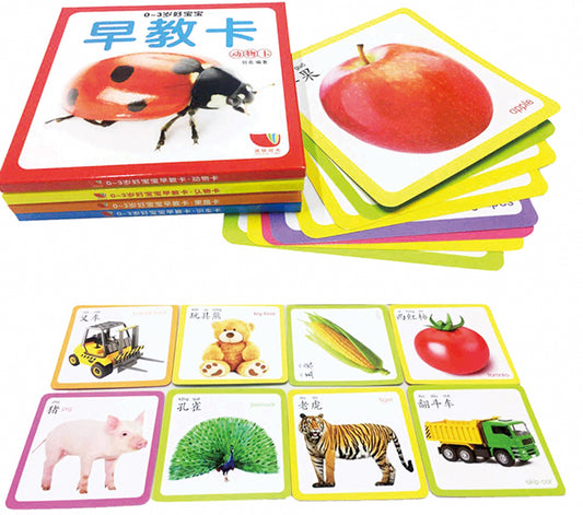 Chinese & English Flash Cards for Beginner | Mandarin Learning Card with Colourful HD Large Flashcards