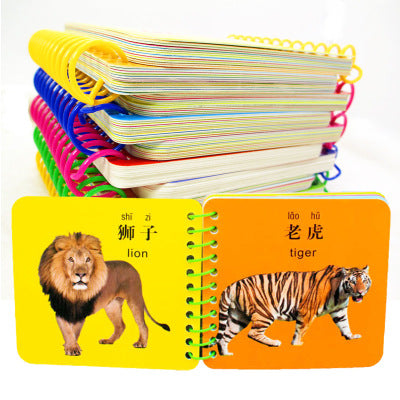 Chinese, English & Pinyin Durable Book for Baby Early Education Language Learning