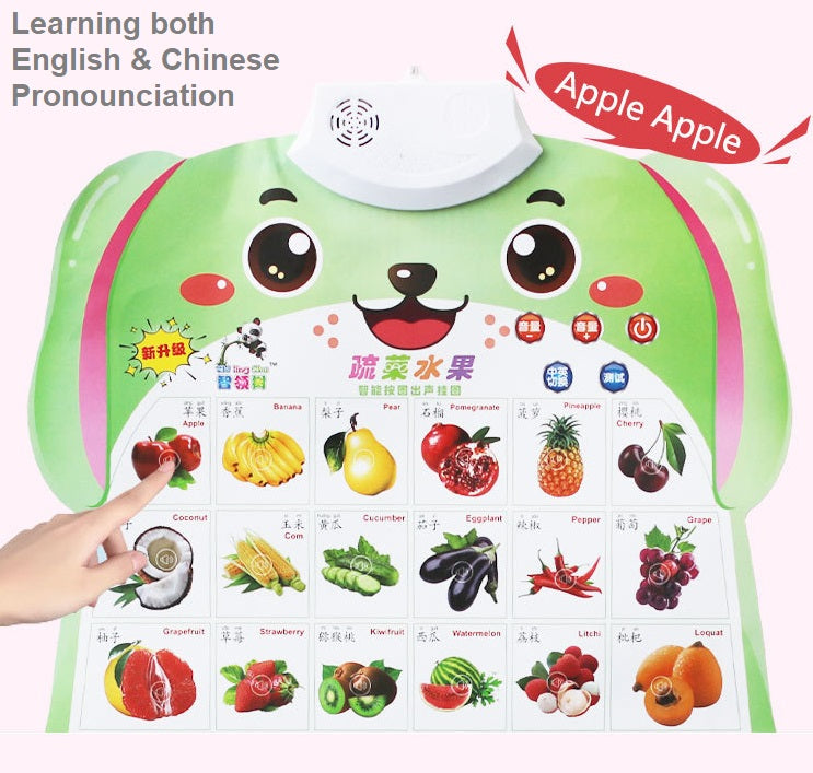 Kids Bilingual Audio Learning Hanging Board with Voice (Mandarin & English)