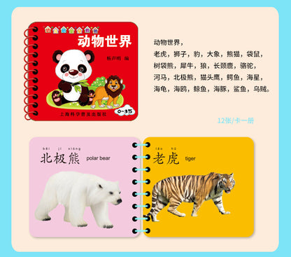 Chinese, English & Pinyin Durable Book for Baby Early Education Language Learning