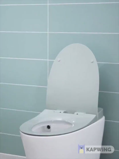 Potty Training Seat for Kids