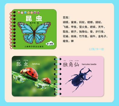 Chinese, English & Pinyin Durable Book for Baby Early Education Language Learning