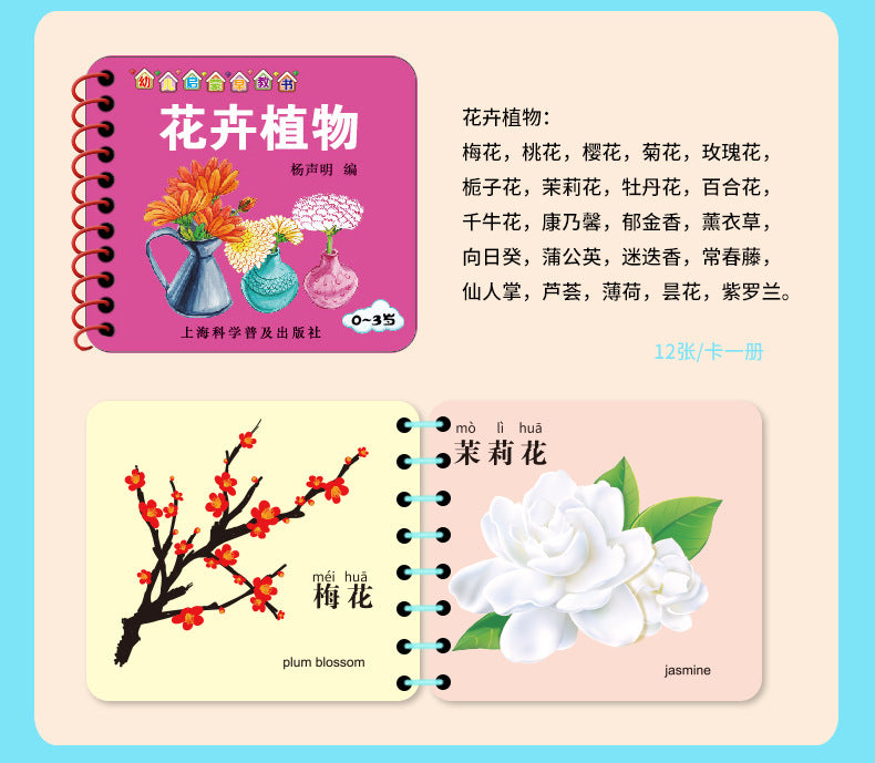 Chinese, English & Pinyin Durable Book for Baby Early Education Language Learning